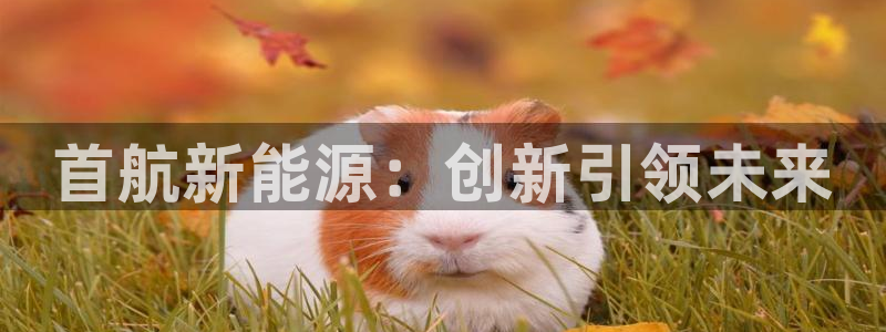 球盟会登陆入口:首航新能源:创新引领未来