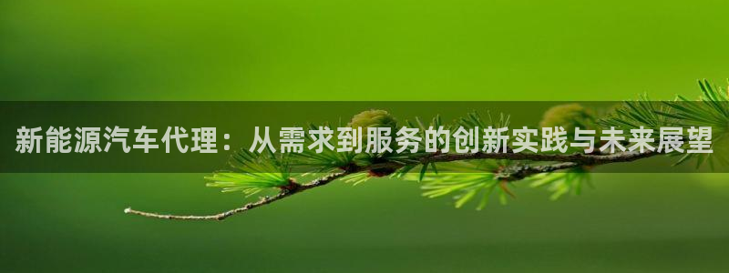 球盟会官方最新入口:新能源汽车代理:从需求到服务的创新实践与