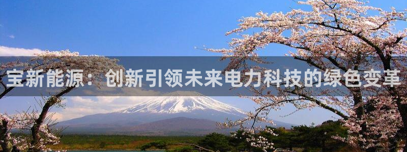 球盟会综合体育平台:宝新能源:创新引领未来电力科技的绿色变革