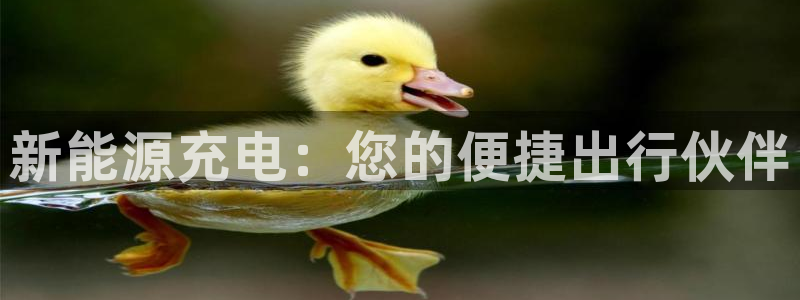 球盟会用的客服聊天是哪个软件:新能源充电:您的便捷出行伙伴