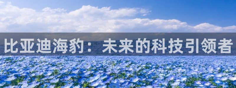 球盟会类似的网站:比亚迪海豹:未来的科技引领者