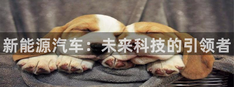 球盟会在线网站