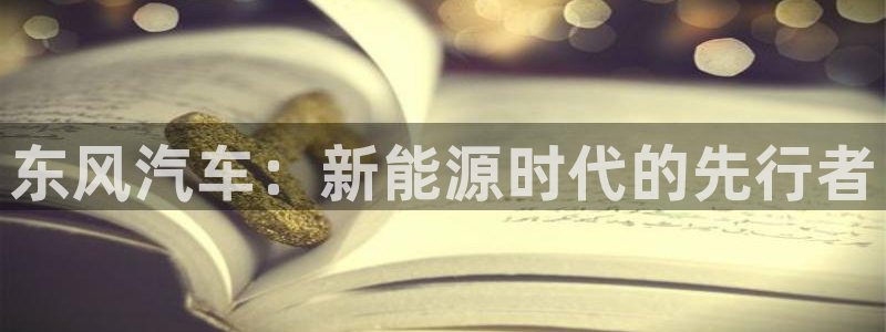 球盟会和中欧会的区别