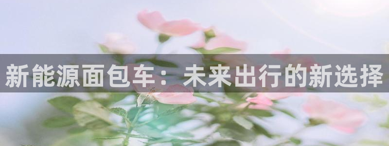 球盟会最新地址备用：新能源面包车：未来出