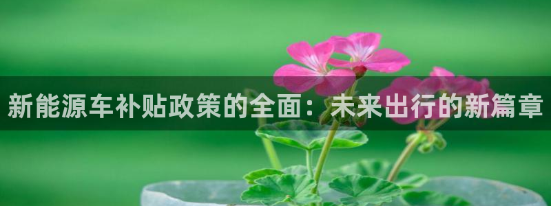 球盟会可以提现么