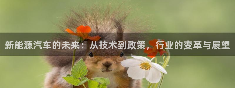 球盟会连接：新能源汽车的未来：从技术到政