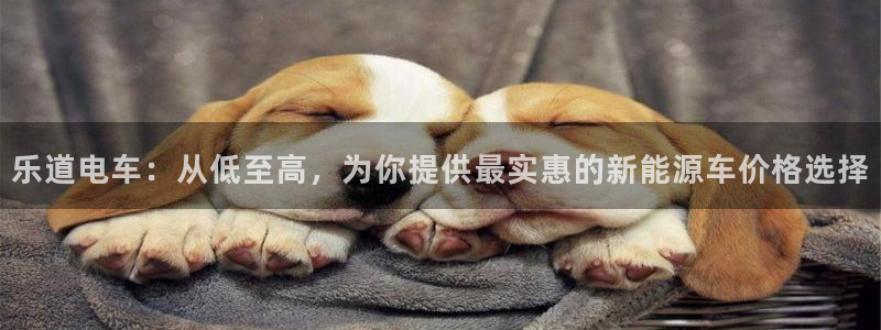 球盟会官网app下载