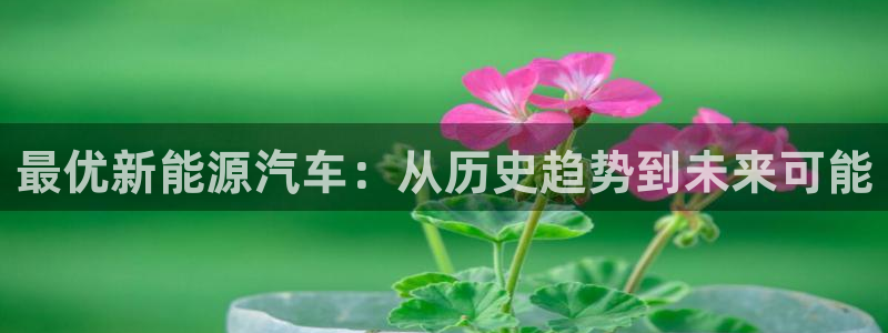 球盟会qmh：最优新能源汽车：从历史趋势