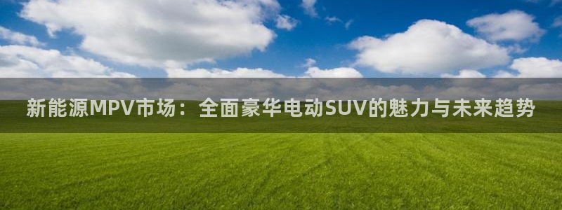 球盟会有没有黑单的人：新能源MPV市场：