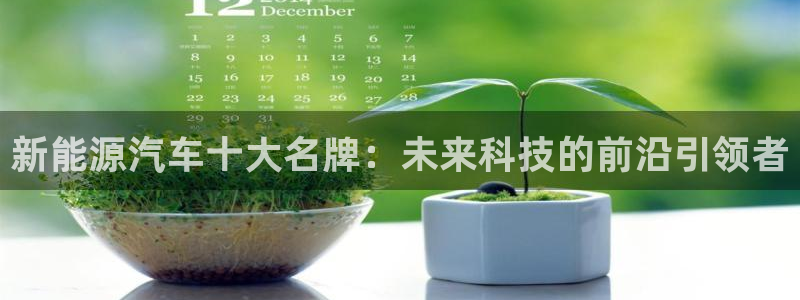 球盟会游戏几点玩合适：新能源汽车十大名牌
