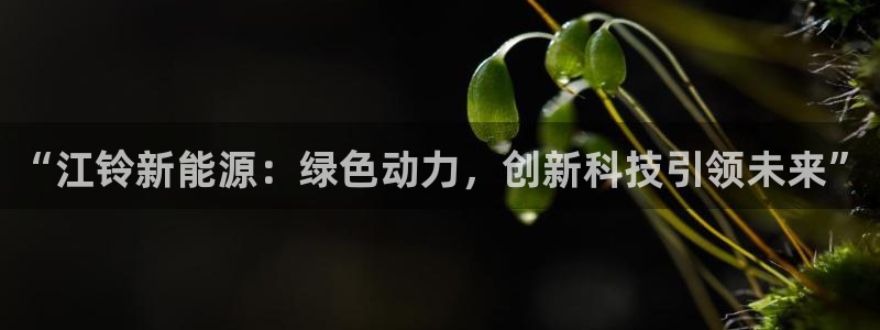 球盟会平台怎么样：“江铃新能源：绿色动力