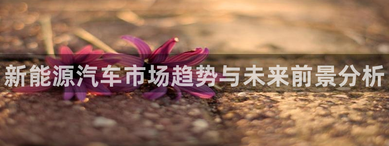 球盟会可以提现么是真的吗:新能源汽车市场趋势与未来前景分析
