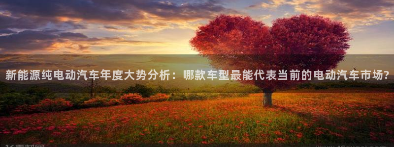 球盟会黑钱