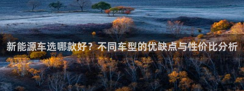 球盟会地址:新能源车选哪款好?不同车型的优缺点与性价比分析