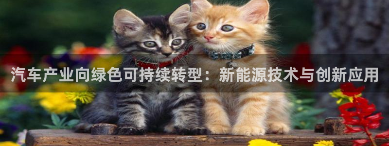 球盟会头号玩家是谁