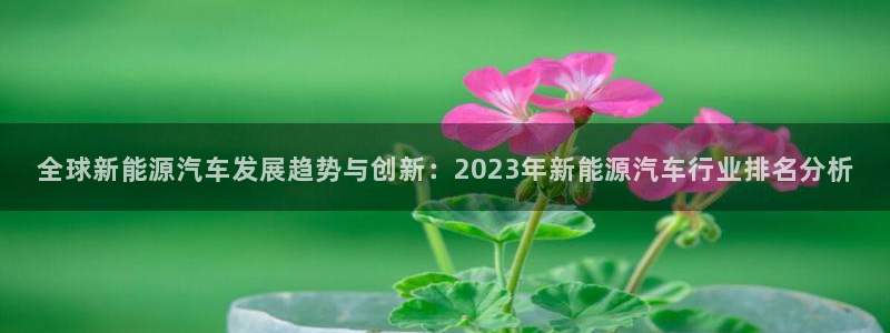 球盟会能提现吗