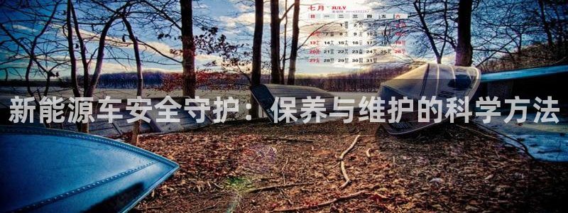 球盟会有没有黑单的人：新能源车安全守护：