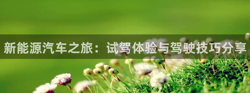 球盟会app安装：新能源汽车之旅：试驾体
