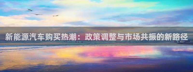 球盟会官方网站app：新能源汽车购买热潮