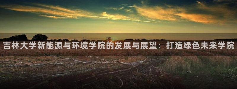 球盟会官网登录入口:吉林大学新能源与环境学院的发展与展望:打