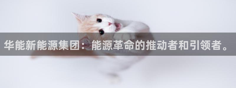 球盟会黑款吗