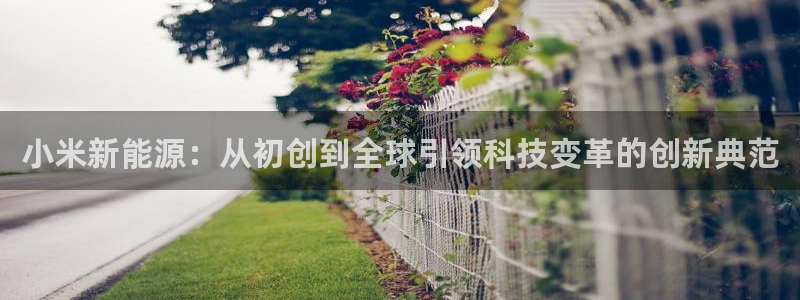 球盟会下款快吗