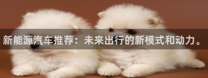 球盟会国际官网