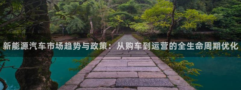 球盟会综合体育平台怎么样:新能源汽车市场趋势与政策:从购车到
