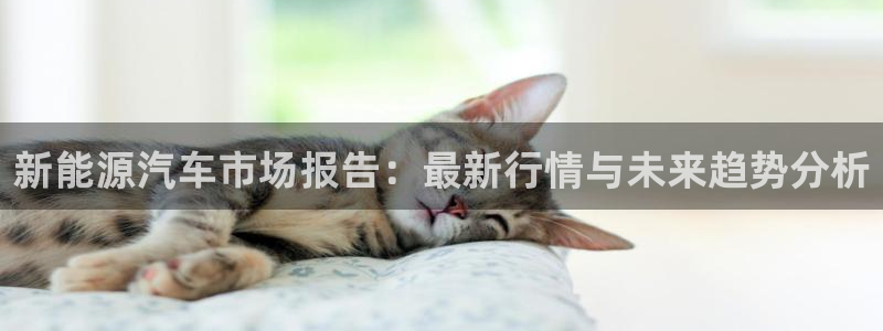 球盟会黑款吗是真的吗：新能源汽车市场报告