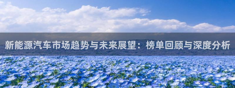 球盟会进不去：新能源汽车市场趋势与未来展