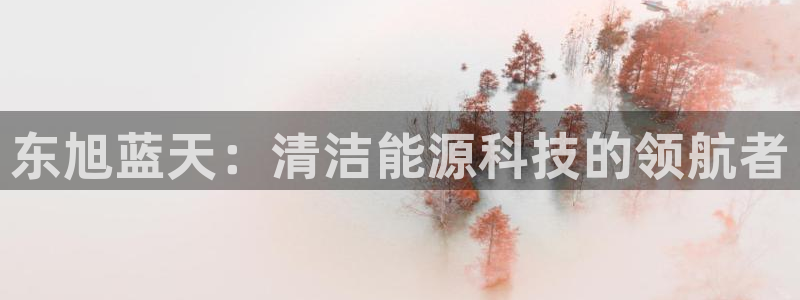球盟会APP官网:东旭蓝天:清洁能源科技的领航者