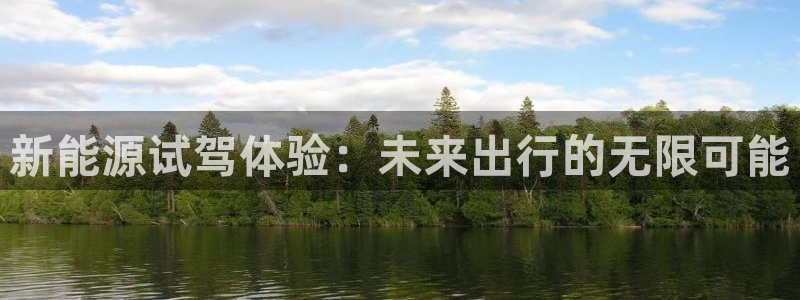 球盟会中国网页登录:新能源试驾体验:未来出行的无限可能