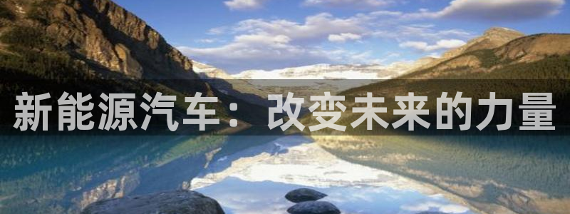 球盟会有没有黑单的:新能源汽车:改变未来的力量