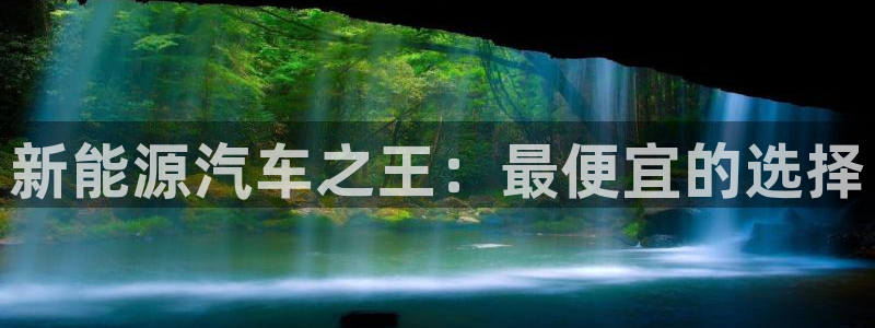 球盟会综合体育平台怎么样:新能源汽车之王:最便宜的选择