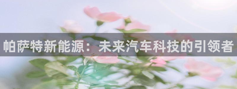 球盟会官方网页登录:帕萨特新能源:未来汽车科技的引领者