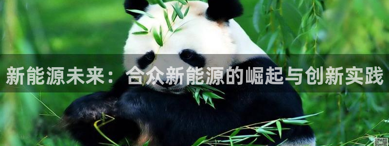 球盟会有限公司怎么样