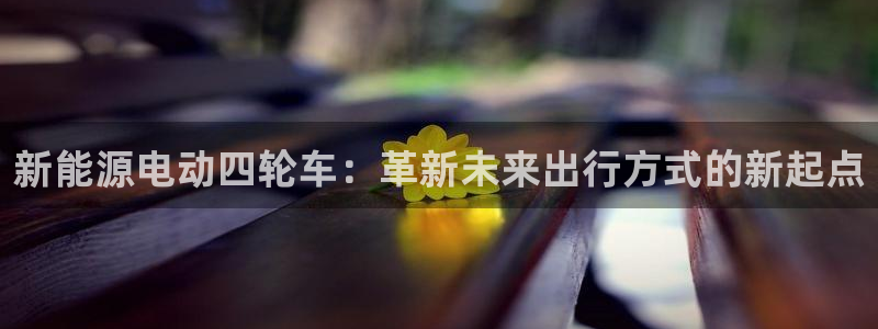 球盟会进不去球员吗