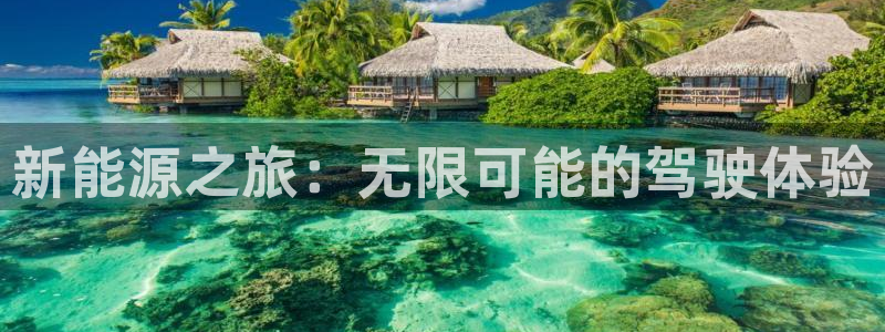 球盟会登录平台入口:新能源之旅:无限可能的驾驶体验