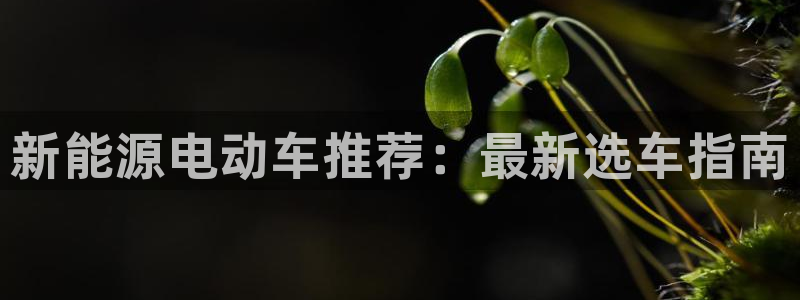 球盟会有没有黑单的人