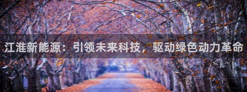 球盟会最新活动：江淮新能源：引领未来科技