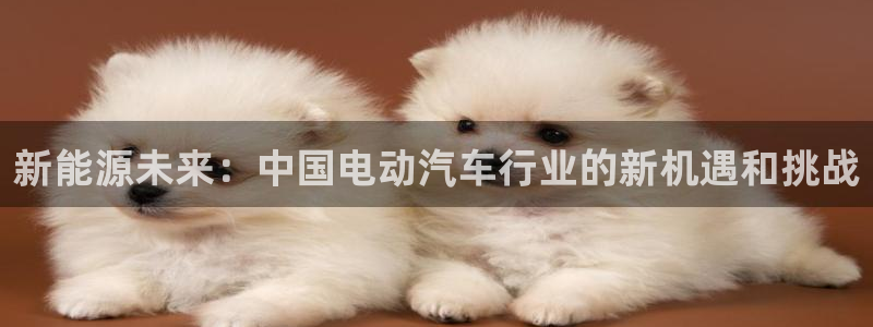 球盟会在线登入:新能源未来:中国电动汽车行业的新机遇和挑战