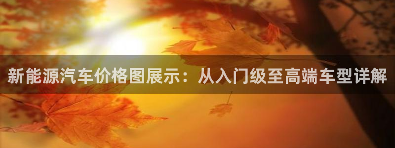 球盟会黑款吗知乎小说:新能源汽车价格图展示:从入门级至高端车