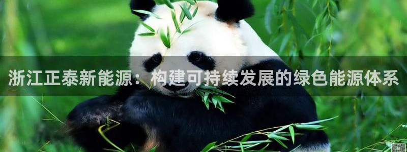 球盟会官方网站是什么:浙江正泰新能源:构建可持续发展的绿色能