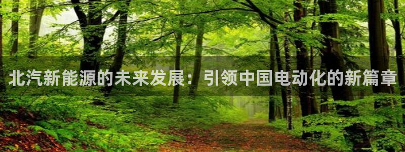 球盟会贴吧:北汽新能源的未来发展:引领中国电动化的新篇章