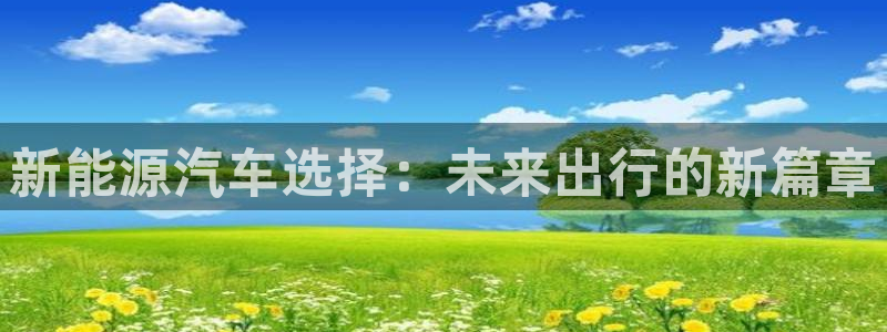 球盟会有没有黑单的活动:新能源汽车选择:未来出行的新篇章