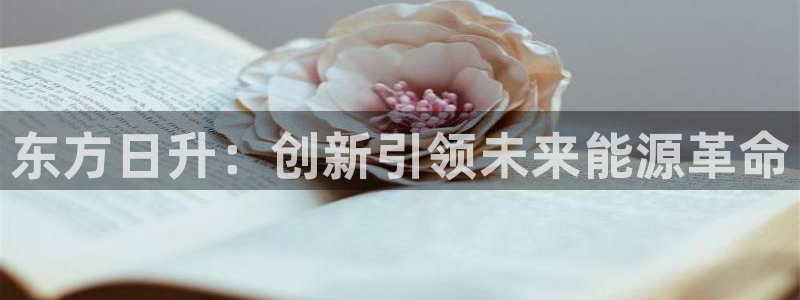 球盟会qmh - 球盟会官方网站:东方日升:创新引领未来能源