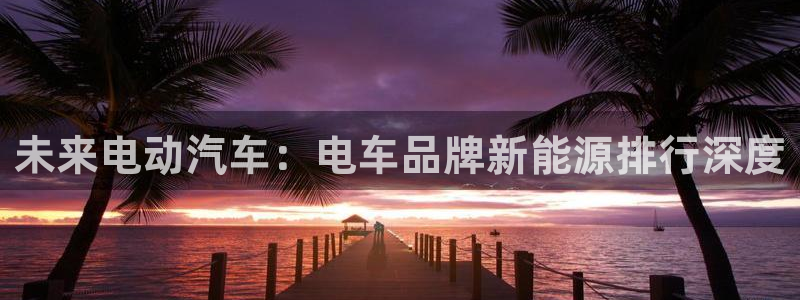千亿球盟会:未来电动汽车:电车品牌新能源排行深度