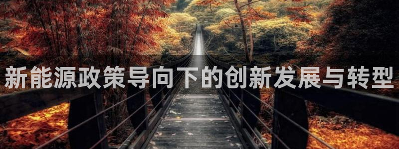 球盟会官网登录入口:新能源政策导向下的创新发展与转型