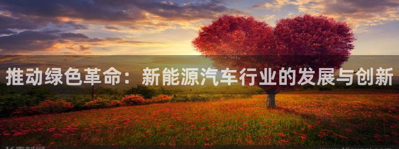 球盟会官方登录平台入口:推动绿色革命:新能源汽车行业的发展与
