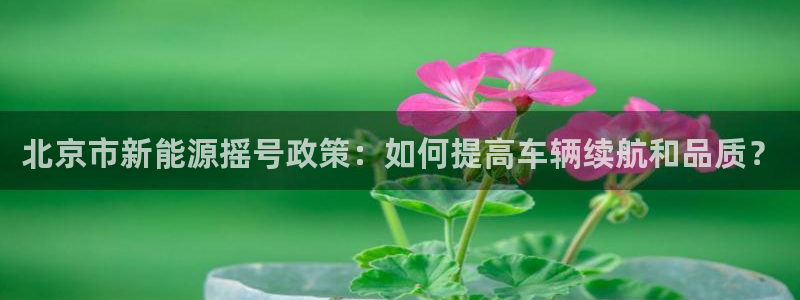 球盟会几点玩合适